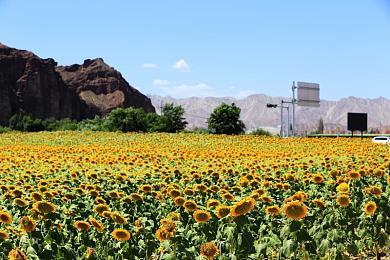 《工人与资源》全新DLC扩展包「早期探索」现已发布！